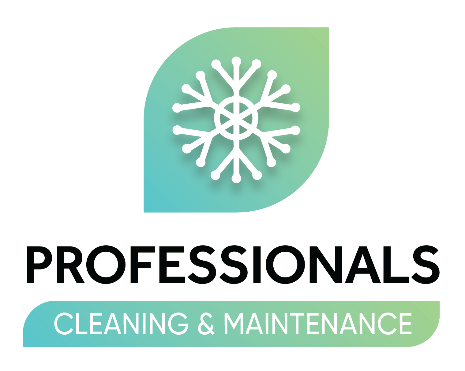 Professional Cleaning & Maintenance